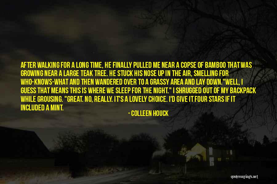 Sleep Walking Quotes By Colleen Houck