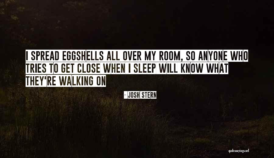 Sleep Walking Quotes By Josh Stern