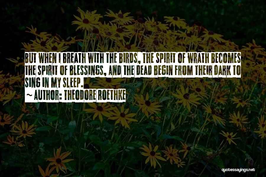 Sleep When I Dead Quotes By Theodore Roethke