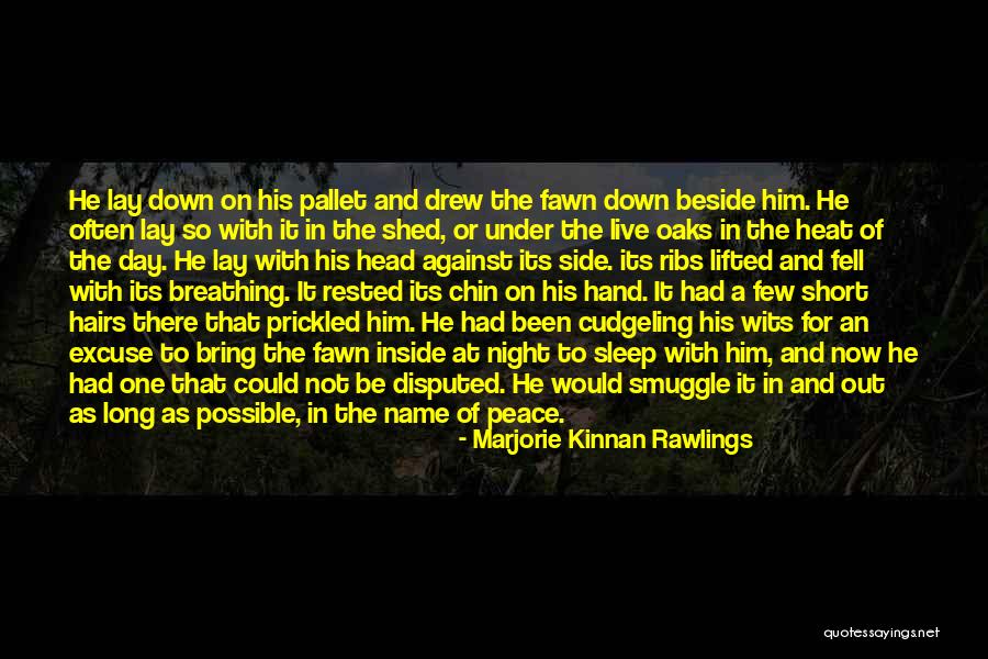 Sleep With Him Quotes By Marjorie Kinnan Rawlings Sleep With Him Quotes By Marjorie Kinnan Rawlings
