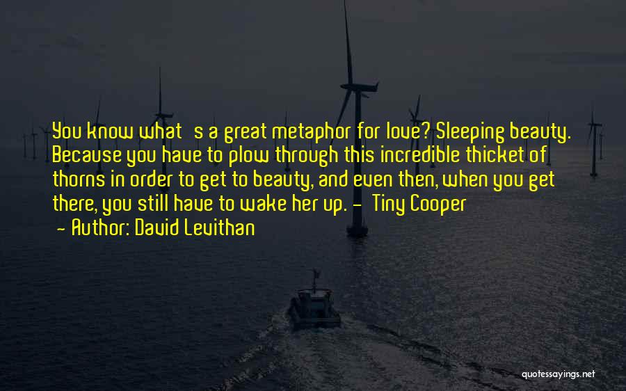 Sleeping Beauty Love Quotes By David Levithan