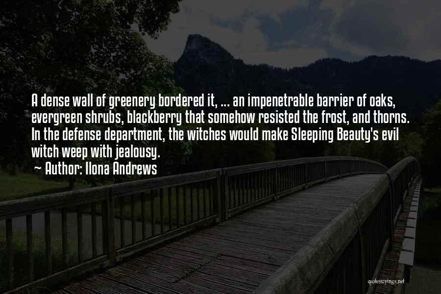 Sleeping Beauty Witch Quotes By Ilona Andrews