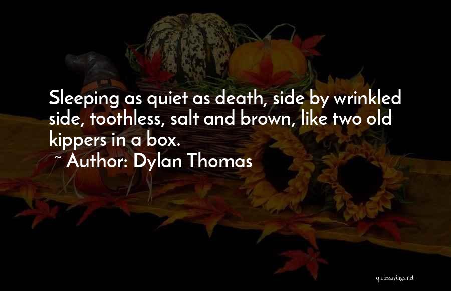 Sleeping By Your Side Quotes By Dylan Thomas