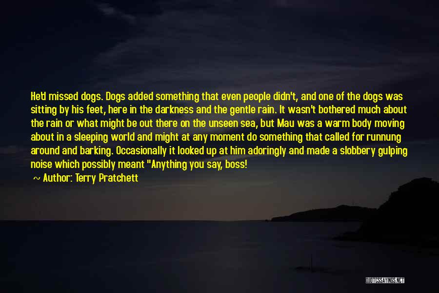 Sleeping Dogs Quotes By Terry Pratchett