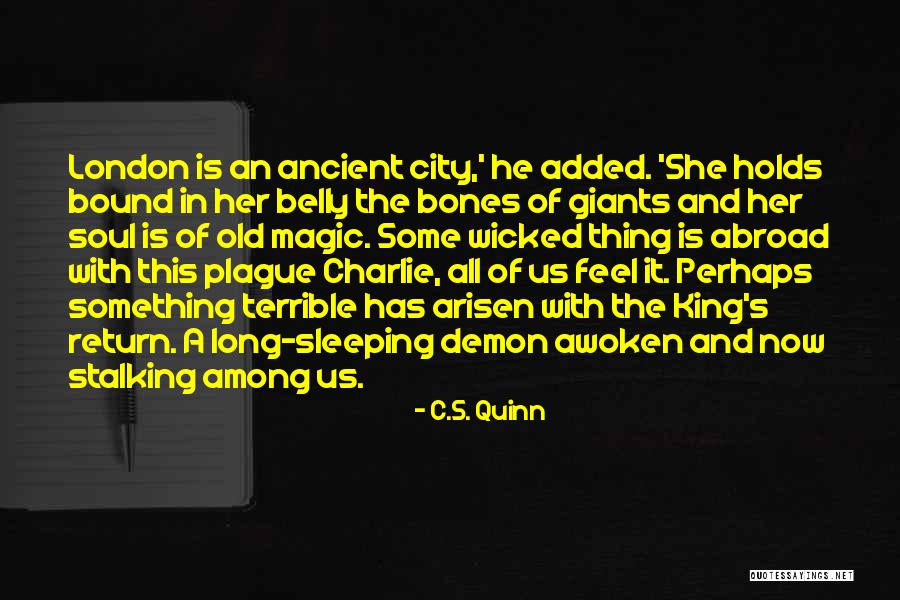 Sleeping Giants Quotes By C.S. Quinn