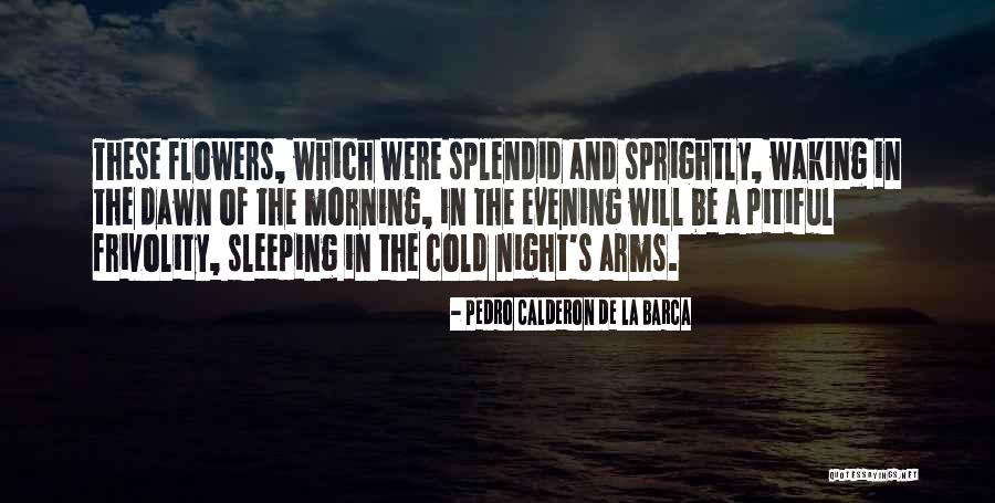 Sleeping In Her Arms Quotes By Pedro Calderon De La Barca