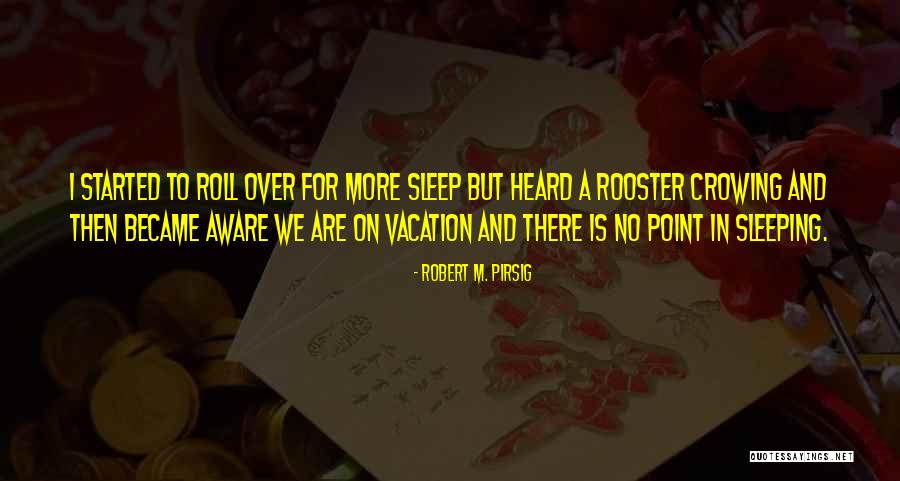 Sleeping In Quotes By Robert M. Pirsig Sleeping In Quotes By Robert M. Pirsig