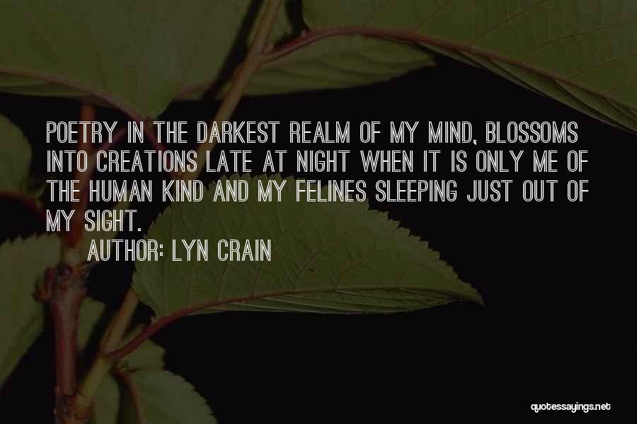 Sleeping Late At Night Quotes By Lyn Crain