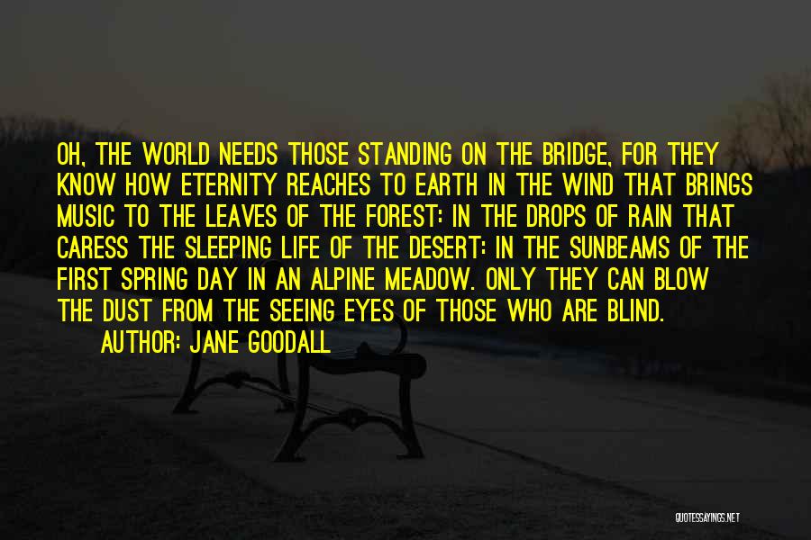 Sleeping Whole Day Quotes By Jane Goodall