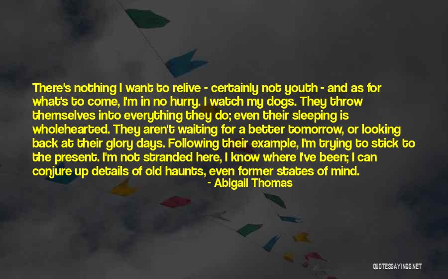Sleeping With Dogs Quotes By Abigail Thomas Sleeping With Dogs Quotes By Abigail Thomas