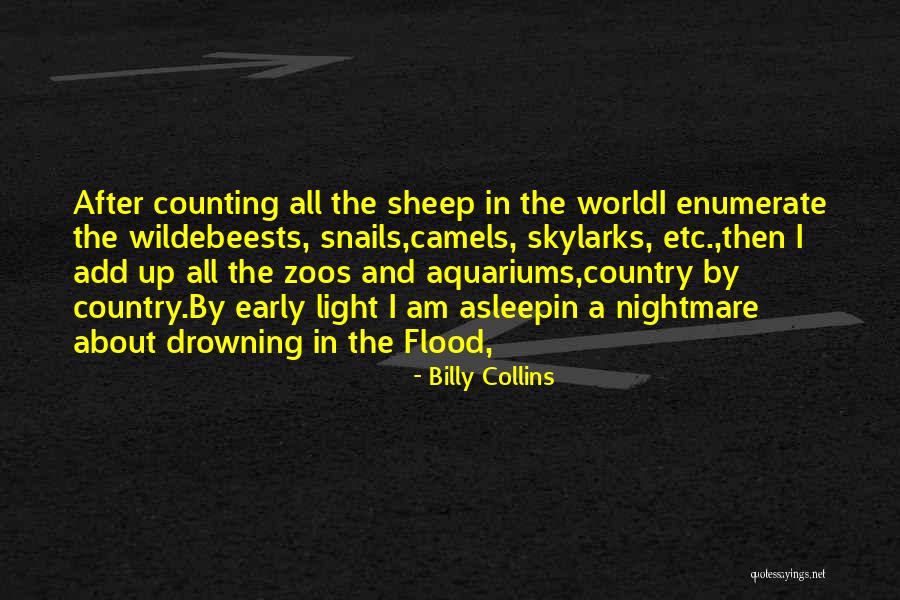 Sleeplessness Quotes By Billy Collins