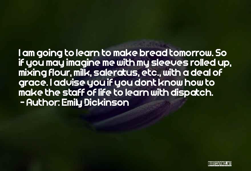 Sleeves Quotes By Emily Dickinson