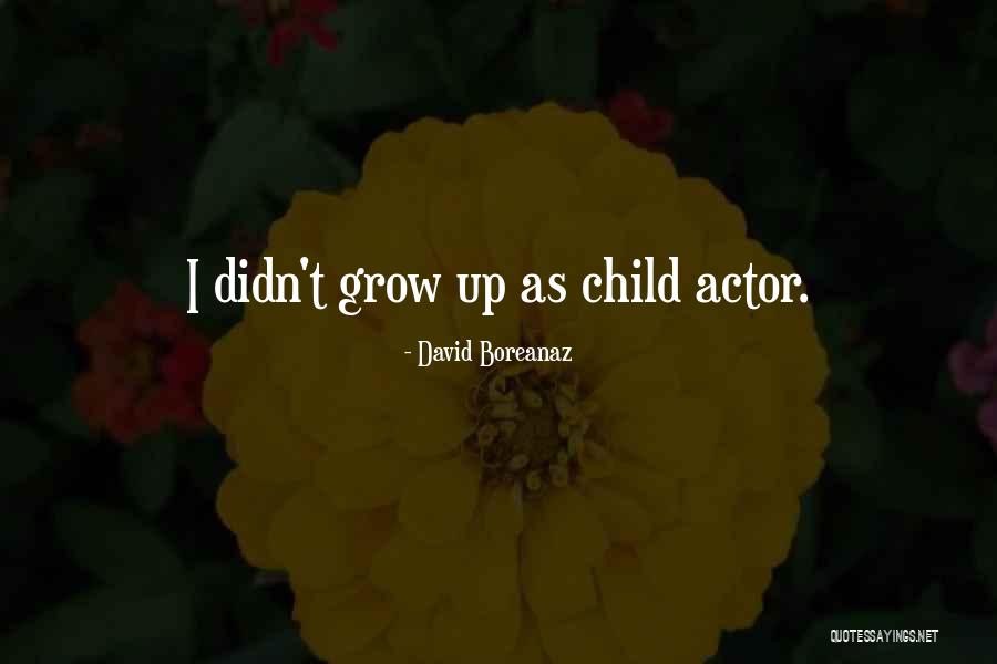 Slenderella Game Quotes By David Boreanaz