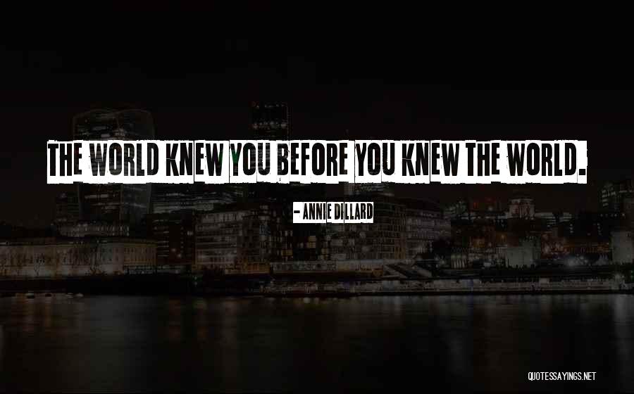 Slenderella Robes Quotes By Annie Dillard Slenderella Robes Quotes By Annie Dillard