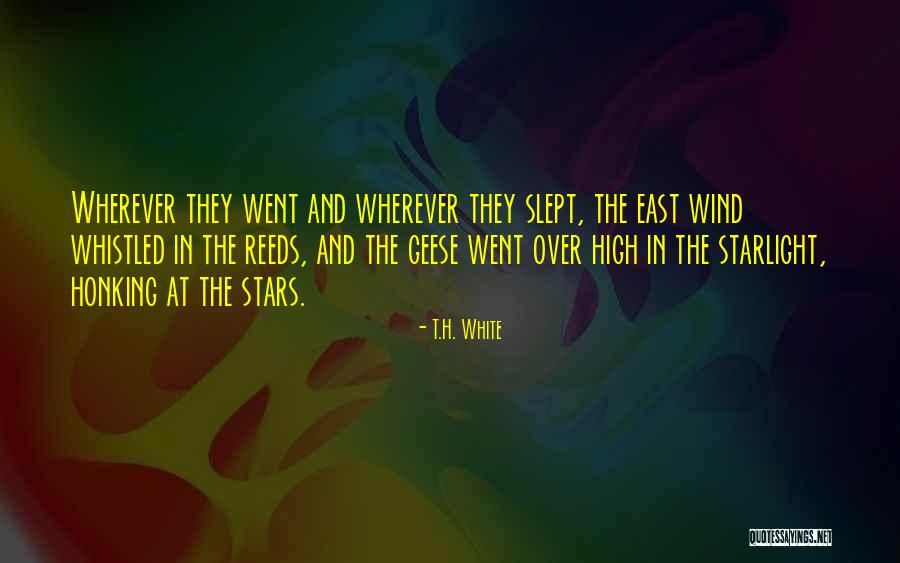 Slept In Quotes By T.H. White Slept In Quotes By T.H. White