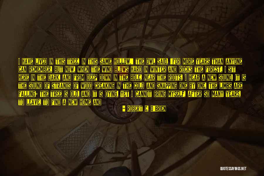 Sleuth 1972 Quotes By Robert C. O'Brien