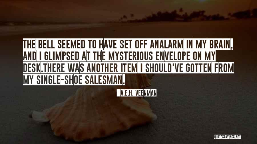 Sleuth Quotes By A.E.H. Veenman