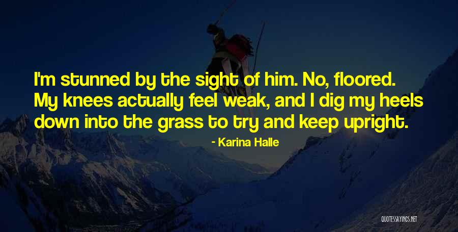 Sleuthhound Dog Quotes By Karina Halle Sleuthhound Dog Quotes By Karina Halle