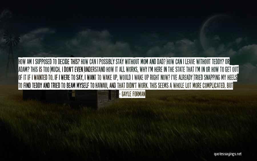 Sleyman Abraham Quotes By Gayle Forman Sleyman Abraham Quotes By Gayle Forman