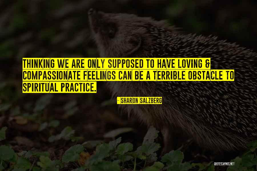 Sleyman Abraham Quotes By Sharon Salzberg Sleyman Abraham Quotes By Sharon Salzberg
