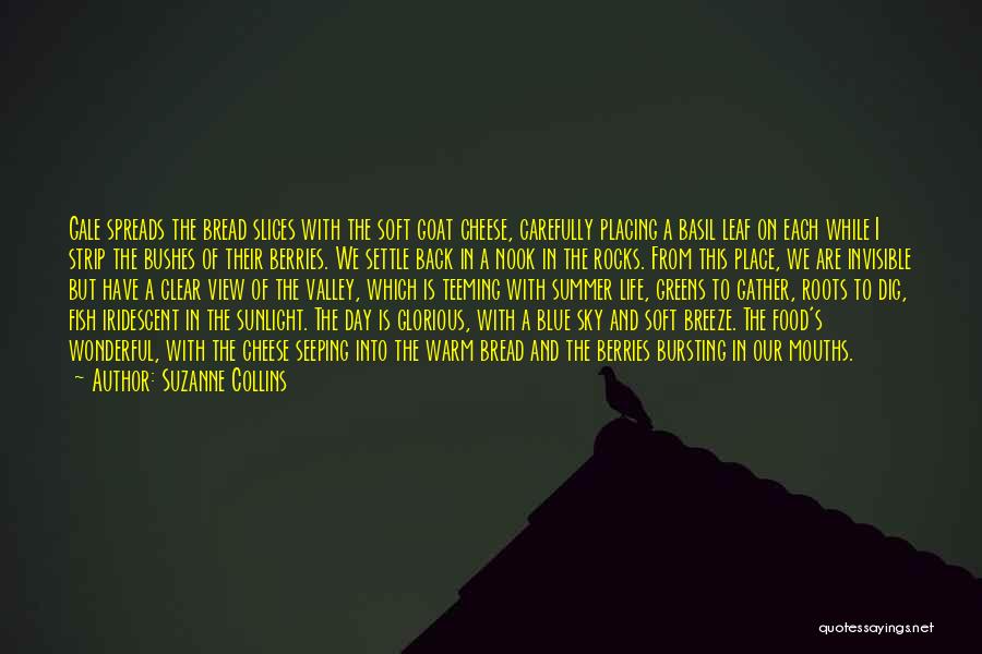 Slices Quotes By Suzanne Collins