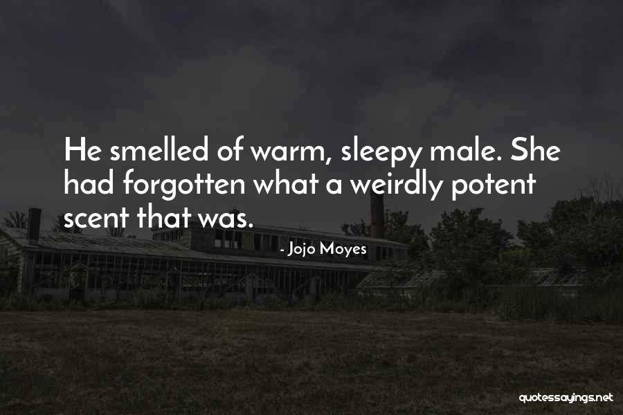 Slicking Falls Quotes By Jojo Moyes Slicking Falls Quotes By Jojo Moyes