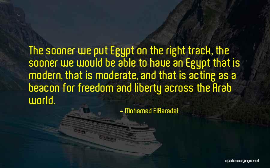 Slickster Setup Quotes By Mohamed ElBaradei Slickster Setup Quotes By Mohamed ElBaradei
