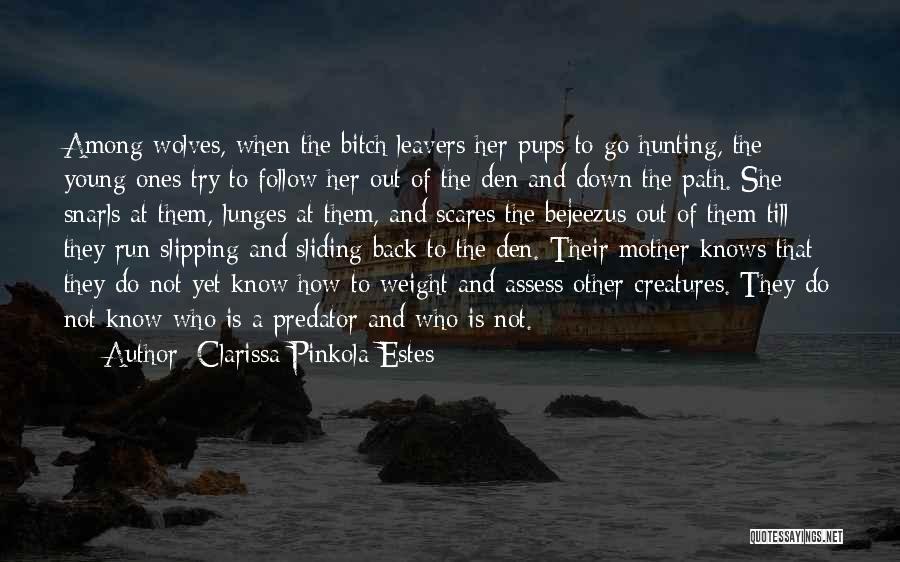 Sliding Down Quotes By Clarissa Pinkola Estes