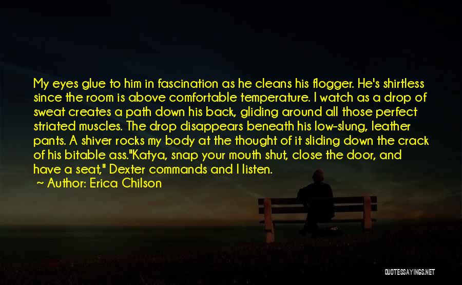 Sliding Down Quotes By Erica Chilson