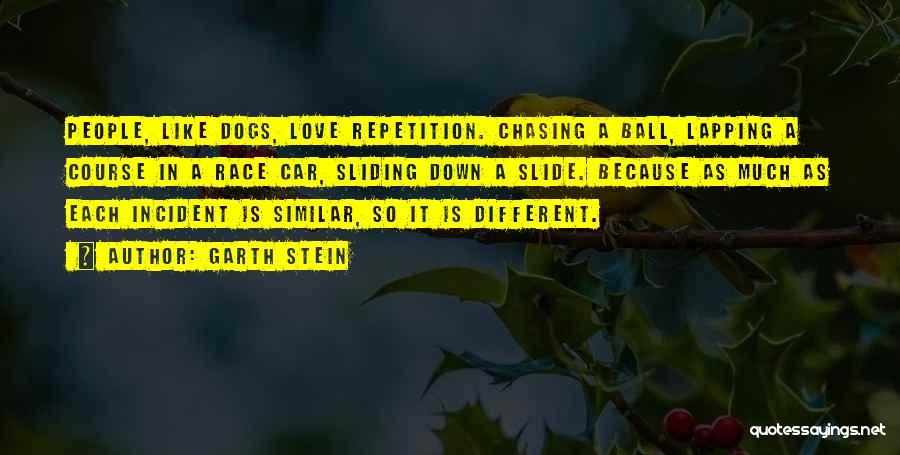 Sliding Down Quotes By Garth Stein