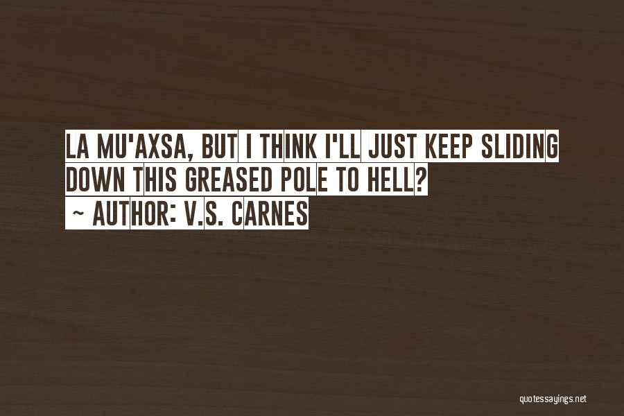 Sliding Down Quotes By V.S. Carnes