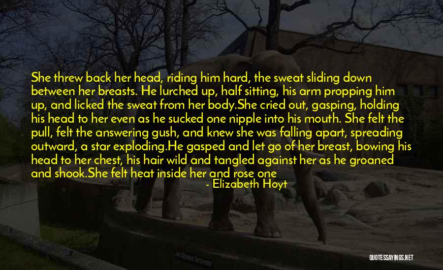 Sliding Into Quotes By Elizabeth Hoyt Sliding Into Quotes By Elizabeth Hoyt