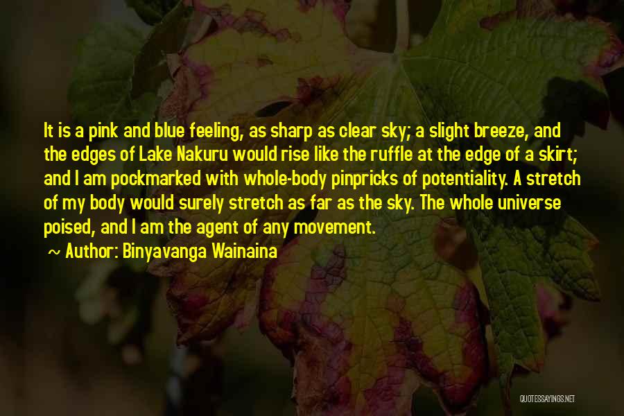 Slight Edge Quotes By Binyavanga Wainaina