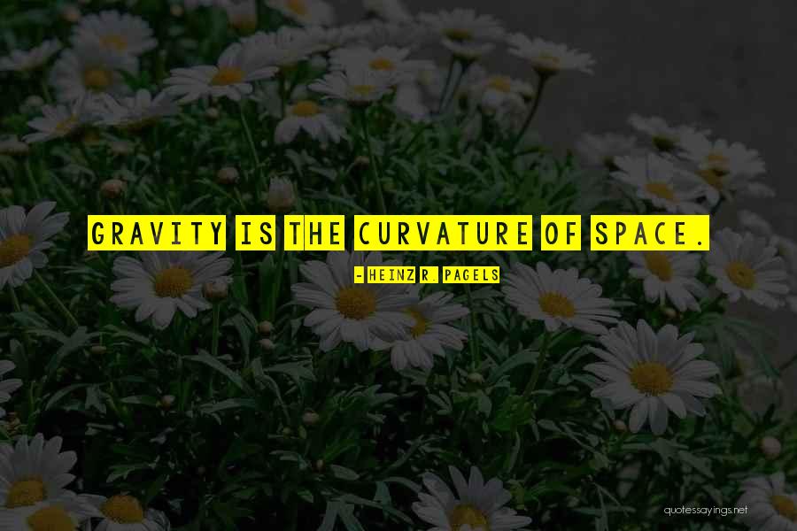 Slijepe Karte Quotes By Heinz R. Pagels