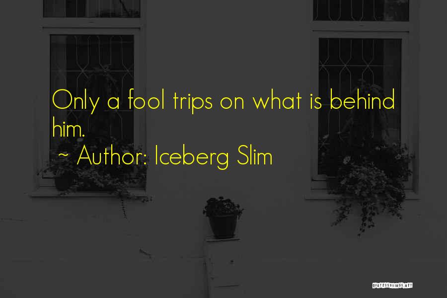 Slim Quotes By Iceberg Slim