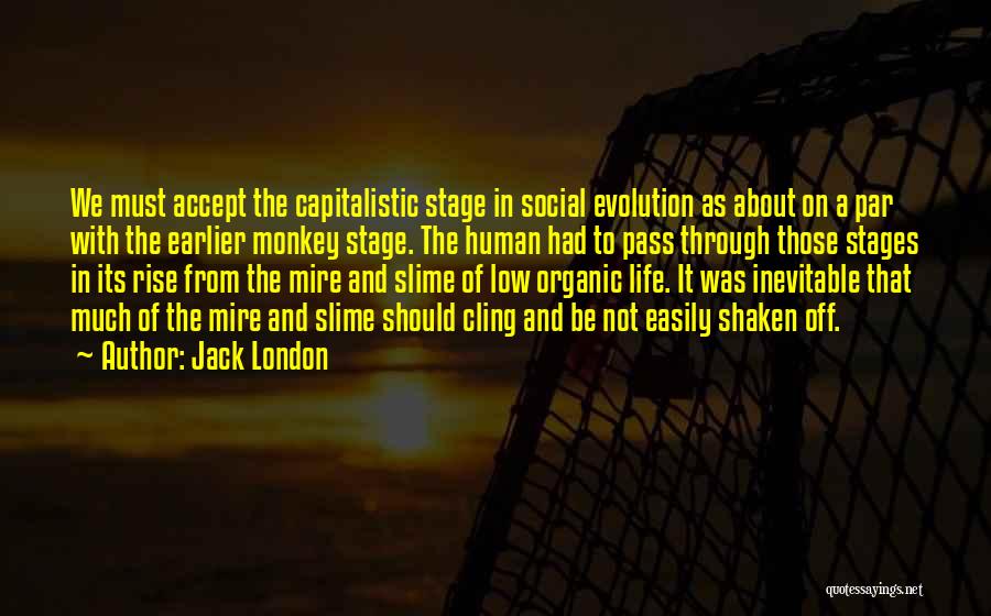 Slime Quotes By Jack London