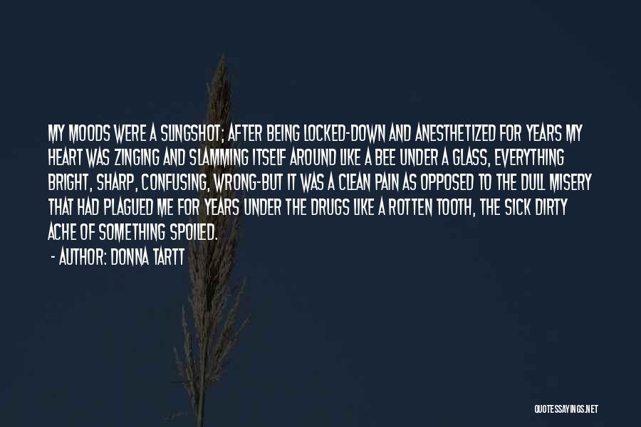 Slingshot Quotes By Donna Tartt