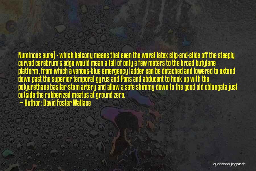 Slip N Slide Quotes By David Foster Wallace