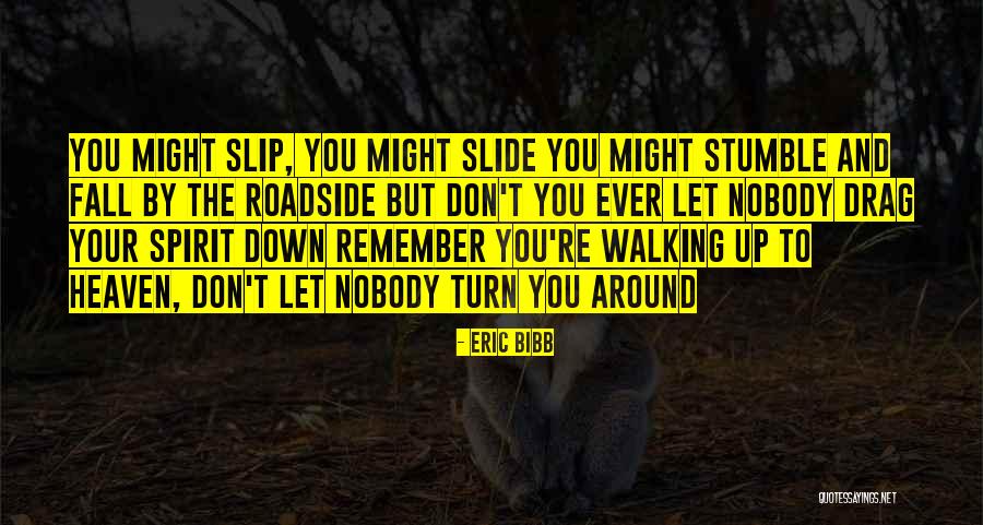 Slip N Slide Quotes By Eric Bibb