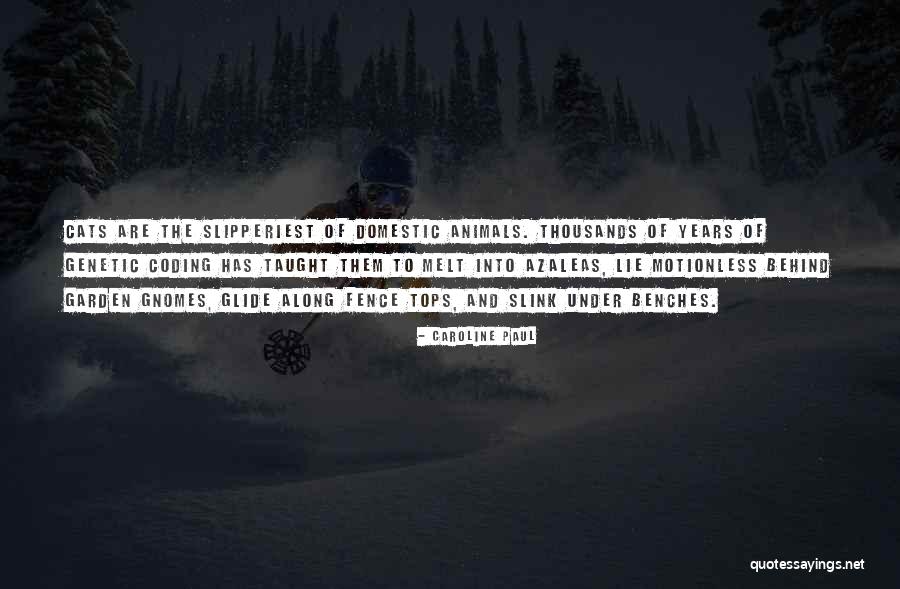 Slipperiest Quotes By Caroline Paul Slipperiest Quotes By Caroline Paul