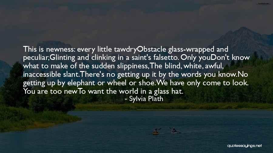 Slippiness Quotes By Sylvia Plath Slippiness Quotes By Sylvia Plath