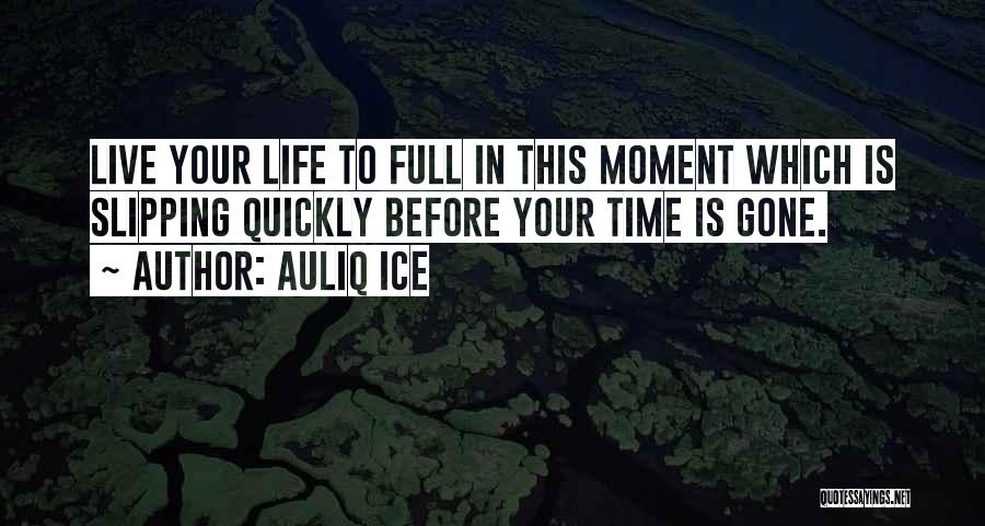 Slipping On Ice Quotes By Auliq Ice