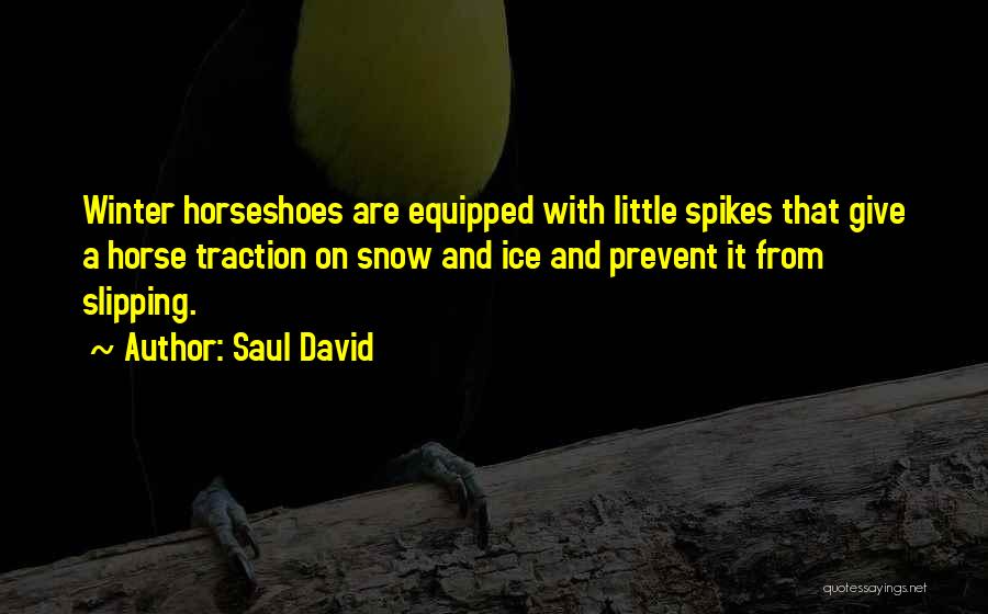 Slipping On Ice Quotes By Saul David