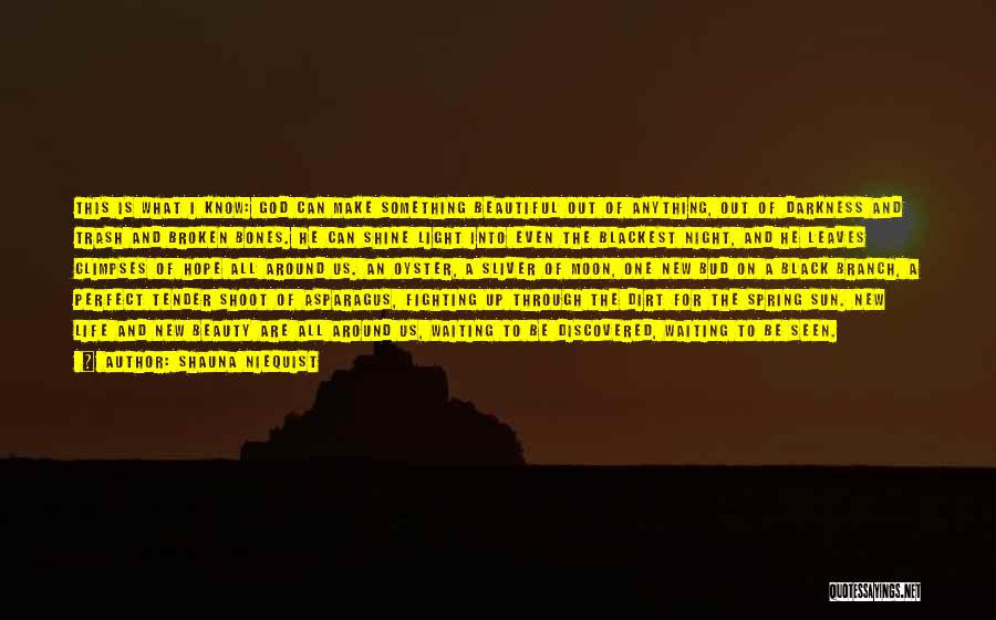 Sliver Of Light Quotes By Shauna Niequist Sliver Of Light Quotes By Shauna Niequist