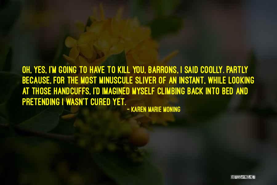 Sliver Quotes By Karen Marie Moning Sliver Quotes By Karen Marie Moning