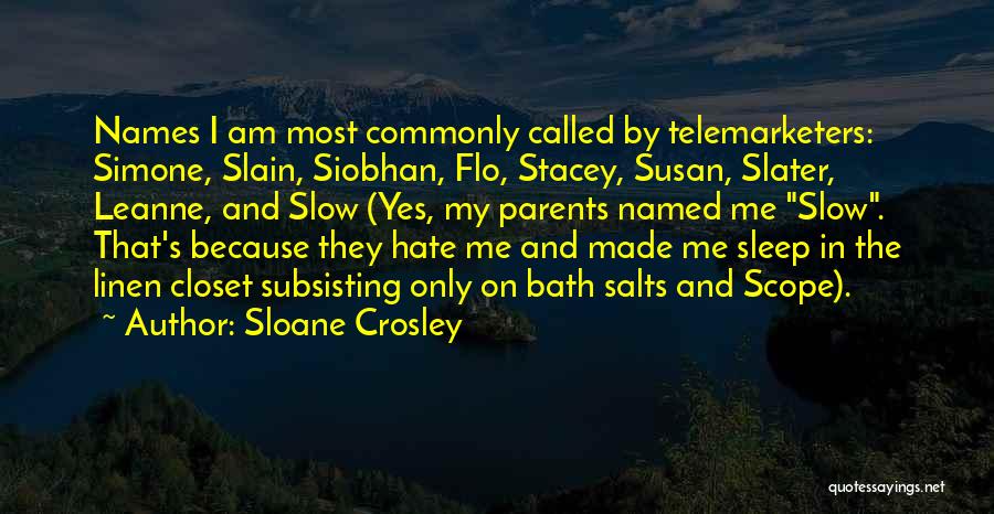 Sloane Crosley Quotes 1231542