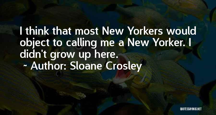 Sloane Crosley Quotes 648869