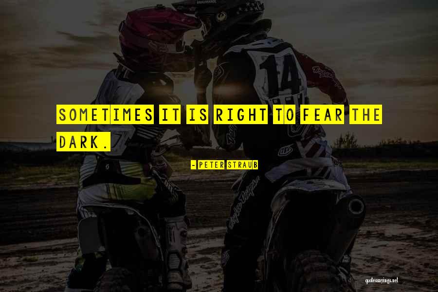 Sloganeering Quotes By Peter Straub Sloganeering Quotes By Peter Straub