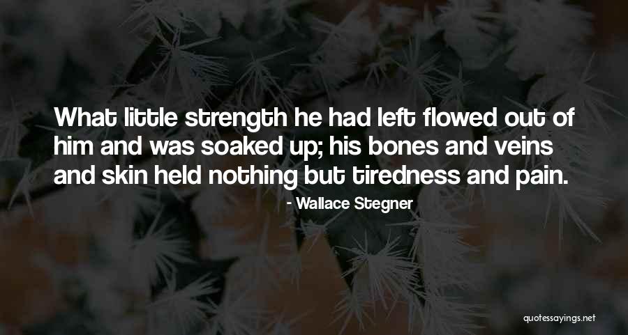 Slomski And Raedel Quotes By Wallace Stegner Slomski And Raedel Quotes By Wallace Stegner
