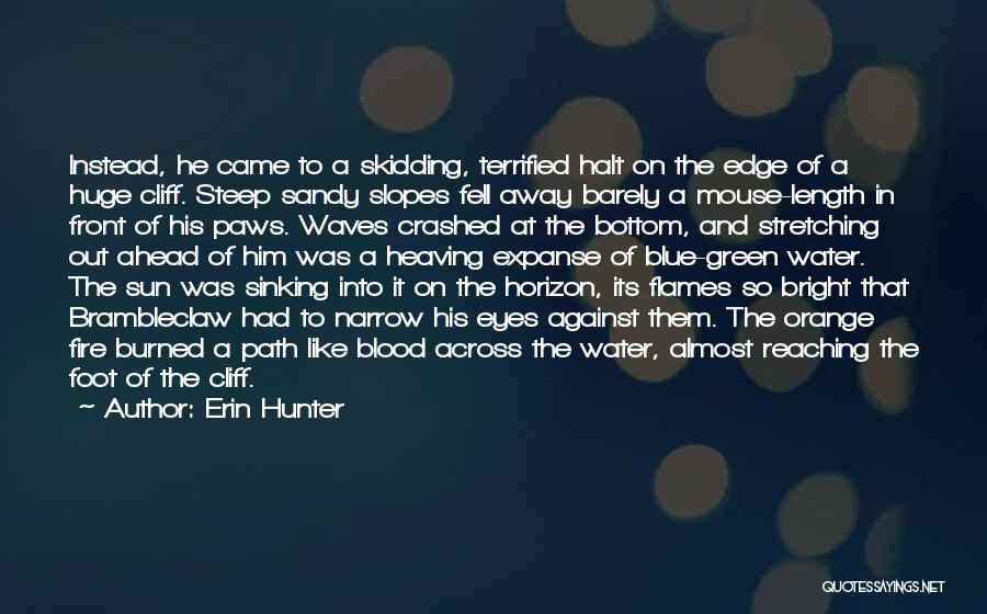 Slopes Quotes By Erin Hunter